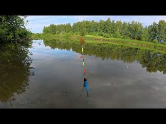 Рыбалка из детства. Ловля карася на поплавочную удочку.