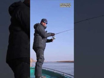 Как дела в Астраханских водах?