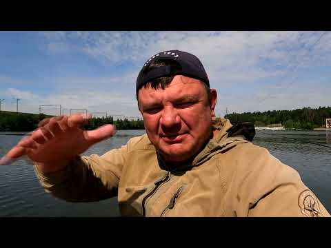 А судак оказался тут А судак оказался тут