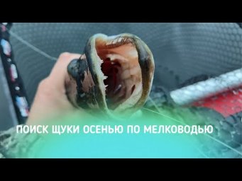 ПОИСК ЩУКИ ОСЕНЬЮ ПО МЕЛКОВОДЬЮ!!! ЧТО СЛУЧИЛОСЬ С ЛОДКОЙ И КАК ЭТО ИСПРАВИТЬ?