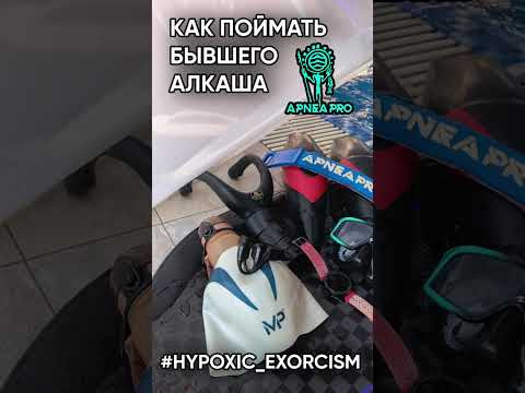 Как ловить бывших алкашей. Возьмите лучшее снаряжение для фридайвинга. Накройте коробкой. Ждите Как ловить бывших алкашей. Возьмите лучшее снаряжение для фридайвинга. Накройте коробкой. Ждите