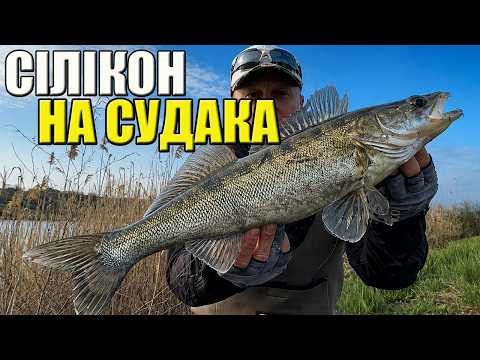 ✅Рибалка НА Судака з берега Де шукати і На що ловити?