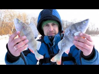 Поставив Донки на Десні. Риболовля в Сильний Мороз