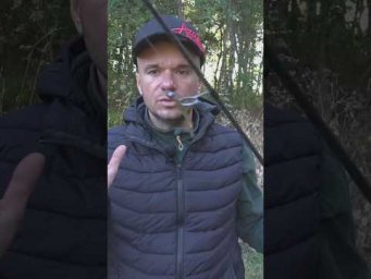 Какой ЦВЕТ приманки выбрать?  #рыбалка #ультралайт #рыбалкаудалась #assistancetv #проводка #fishing