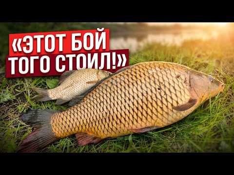 ЭТА ПОКЛЕВКА СТОИЛА ТОГО! КАРП ПРОСЫПАЕТСЯ ОТКРЫТИЕ ВЕСЕННЕГО ФИДЕРА
