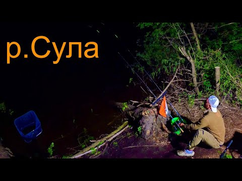 ЛЯЩ з МОРЯ зайшов в СУЛУ! Нічна РИБАЛКА під ПРОЖЕКТОРОМ!!