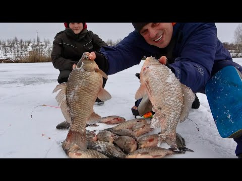 Ну і лапті клюють! Поїхали за судаками, а попали на лісових карасів! Зимова рибалка 2026!