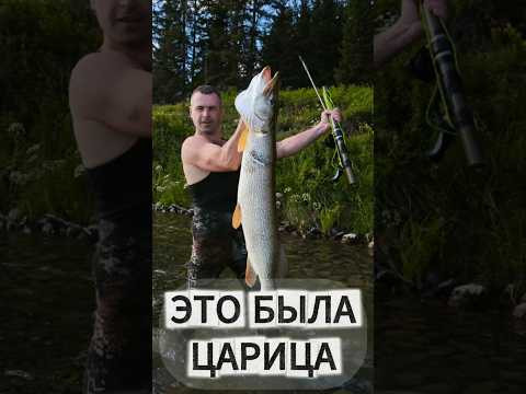Когда руки дрожат от трофея 