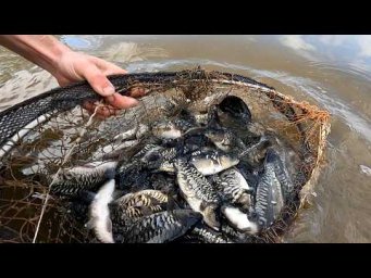 Очередное Зарыбление водоема 3-й Алчедат Красновым В.Ф 25.05.2026г.