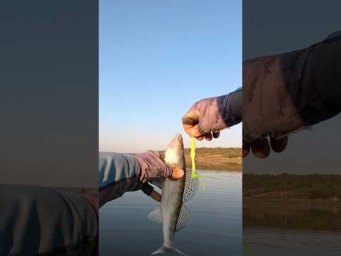 #fishing #спінінг