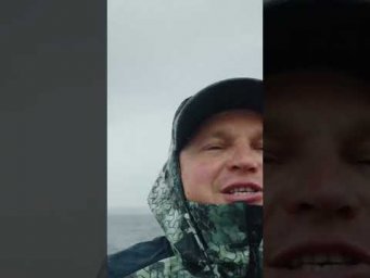 Шикарный бронзовый судак на #hotspotzander