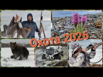 Охота на гусей 2026. Косые дожди...