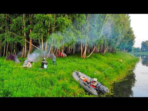 ЗАБРАЛИСЬ В СЕКРЕТНЫЕ ДЕБРИ С ТАТЬЯНОЙ С НОЧЁВКОЙ! КАРТОШКА С САЛОМ, ПИРОЖКИ, БОКОВОЙ КИВОК ЗАБРАЛИСЬ В СЕКРЕТНЫЕ ДЕБРИ С ТАТЬЯНОЙ С НОЧЁВКОЙ! КАРТОШКА С САЛОМ, ПИРОЖКИ, БОКОВОЙ КИВОК