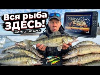 ВСЯ РЫБА С ВОЛГИ ЗДЕСЬ! Ловля Судака и Щуки на Балансир, Силикон, Виб. Рыбалка на разные приманки.