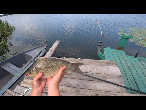 Ловля майже смаженого карася в спеку +40 на вудочку