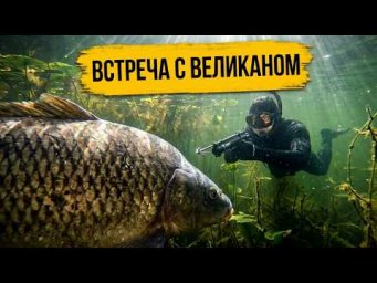 Встреча с великаном