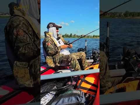 БЕРШ ОТЛИЧНЫЙ БЕРШ ОТЛИЧНЫЙ