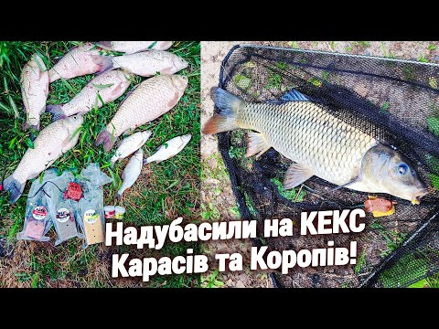Ловля КАРАСЯ та КОРОПА на різних водоймах!
