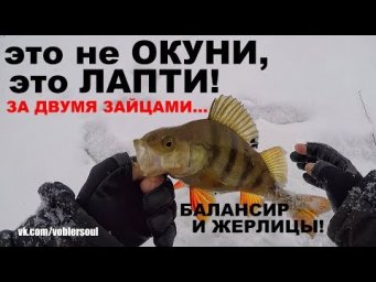 ОКУНИ-ЛАПТИ. Окунь на Балансир и Щука на Жерлицы. ЗА ДВУМЯ ЗАЙЦАМИ! Зимняя Рыбалка.
