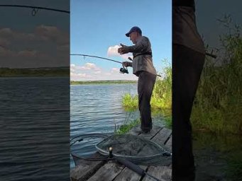 Два Амура за раз  #рыбалка #ловлярыбы