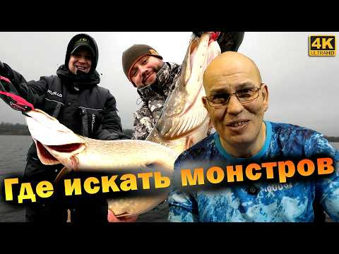 Где искать ЩУК МОНСТРОВ. Тактика ловли ЩУК КРОКОДИЛОВ! Где искать ЩУК МОНСТРОВ. Тактика ловли ЩУК КРОКОДИЛОВ!