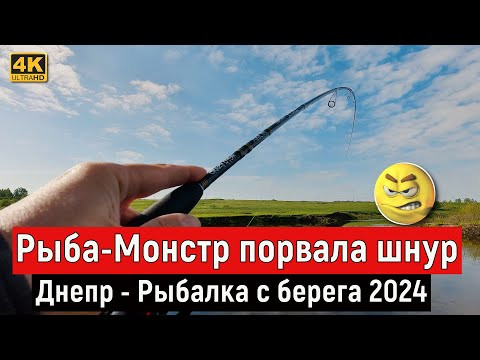 Рыба МОНСТР порвала шнур. Рыбалка с БЕРЕГА на ДНЕПРЕ 2024 Рыба МОНСТР порвала шнур. Рыбалка с БЕРЕГА на ДНЕПРЕ 2024