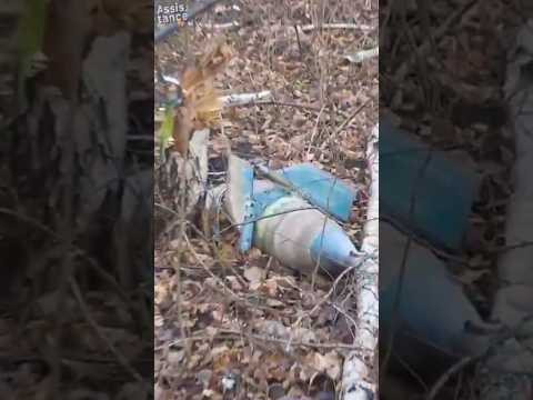 Вот так и жил - пока жив был.  #assistancetv #fishing #рыбалка #рыбалканареке #риболовля