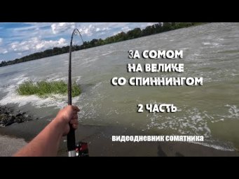 ЗА СОМОМ на ВЕЛИКЕ | Со спиннингом за сомом в наводнение 2 часть | видеодневник сомятника