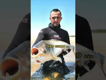 Уже скоро&hellip; #подводнаяохота
