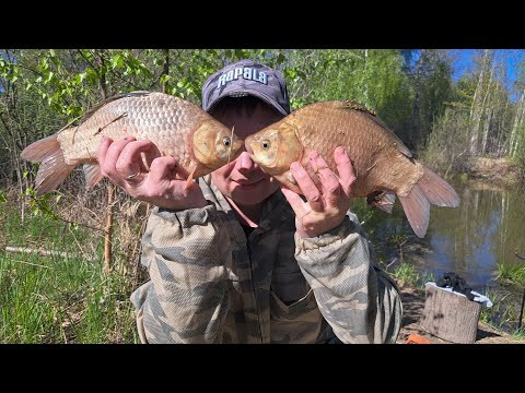 Рыбалка ГИГАНТСКИЙ КАРАСЬ НА ПОПЛАВОК ! Ловля карася. Весенняя рыбала 2024. Рыбалка ГИГАНТСКИЙ КАРАСЬ НА ПОПЛАВОК ! Ловля карася. Весенняя рыбала 2024.