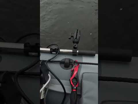 Судачок пятачок #fishing #рыбалка Судачок пятачок #fishing #рыбалка