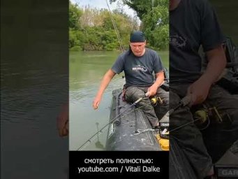 Квок. Рыбалка на сома со Снасти Здрасьте 