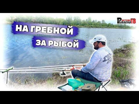 Рыбалка на фидер с друзьями гребной канал.Ловля чехони,синец,плотва...