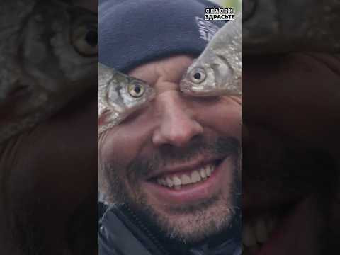 Густера на фидер по холодной воде Густера на фидер по холодной воде