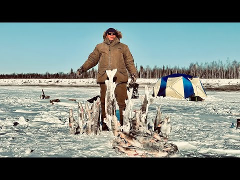 МЕШОК РЫБЫ ДО ОБЕДА, МЕШОК ПОСЛЕ )))