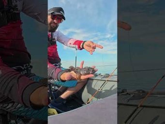 Яке ж ВОНО здорове #рибалка #fishing #shorts