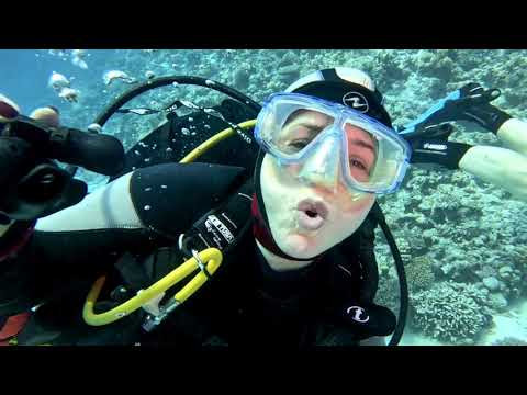 Красное море: 16 погружений &mdash; и хочется ещё!