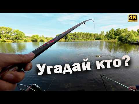 КАРАСЬ и КАРП на ПОПЛАВОЧНУЮ УДОЧКУ