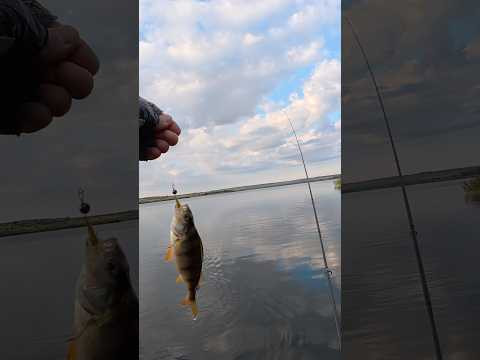 #azura #fishing #х гейм