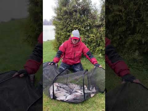 Подписываемся на Boosty! #рыбалка #рыбалканаозере #рыбалканафидер #fishing