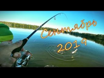 Рыбалка. Ловля щуки и судака в конце сентября 2019. Спиннинг. Джиг