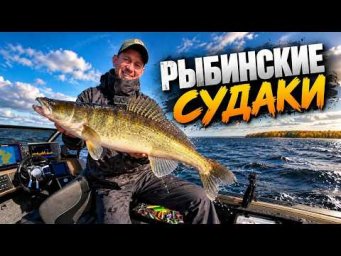 ОСЕННЯЯ РЫБАЛКА НА РЫБИНКЕ. ЗОЛОТАЯ ОСЕНЬ. БЕРЕГ МОЛОГИ.