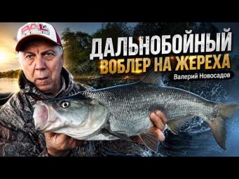 Жерех с дальней дистанции! Мастер-класс от Валерия Новосадова. Трофей на ZipBaits Rigge Flat 80
