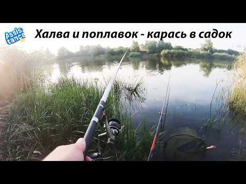 Карась сошёл с ума - сентябрь, халва творит чудеса