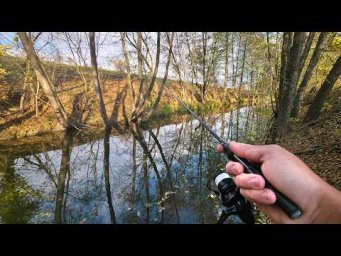 РЫБАЛКА В ГЛУШИ. ДИКАЯ РЕКА. Безмотылка! Рыбалка на мормышку и микродиж