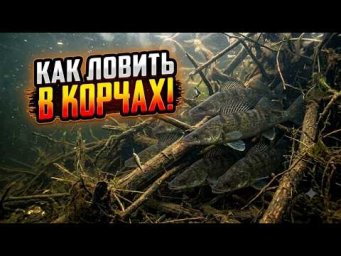 КАК ЛОВИТЬ В КОРЯЖНИКЕ. РЫБАЛКА НА СПИННИНГ