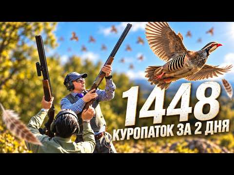 Охота в Испании 