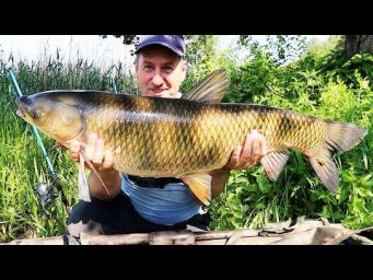 Бешенный Амур рвал снасти и выпрыгивал из подсака!