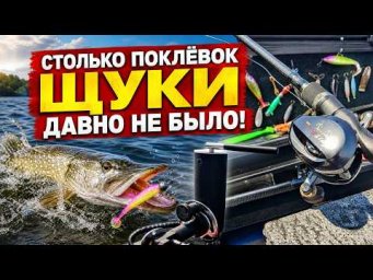 УТРО МОЛЧАЛО, А В ОБЕД ПОНЕСЛОСЬ &mdash; СТОЛЬКО ПОКЛЁВОК ЩУКИ ДАВНО НЕ БЫЛО!
