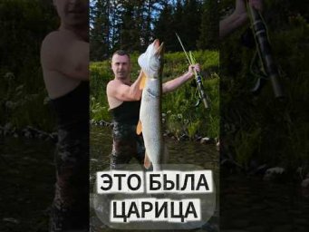 Когда руки дрожат от трофея 
